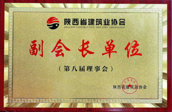 陜建協(xié)副會長單位-有色建設（第八屆理事會）_副本_副本.png